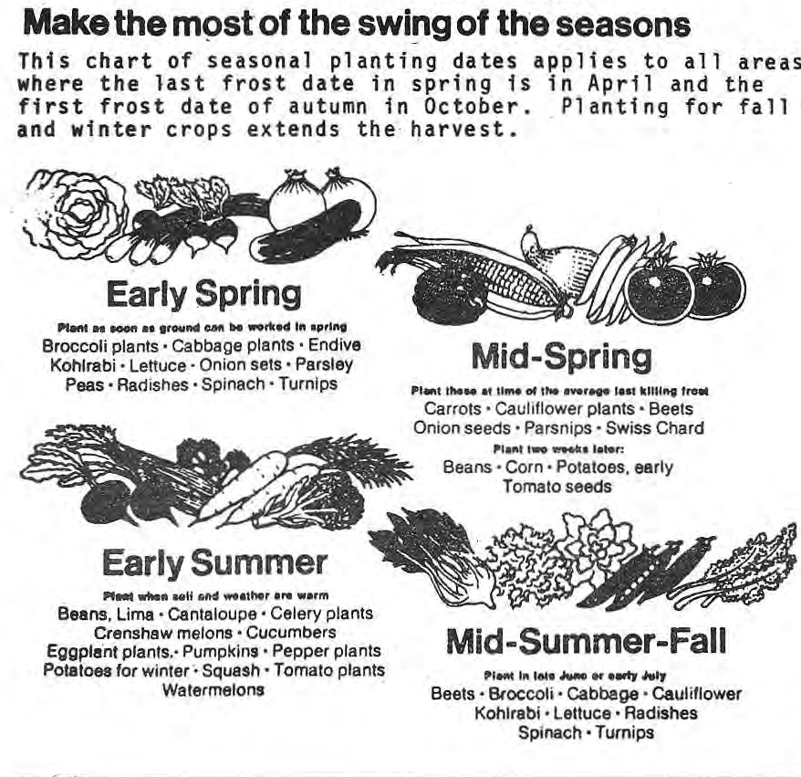 Original illustrated seasonal vegetable-planting chart.