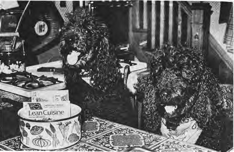 Two people in gorilla masks, identified by original caption as Tom and Karleen Hoerr, at a kitchen counter.