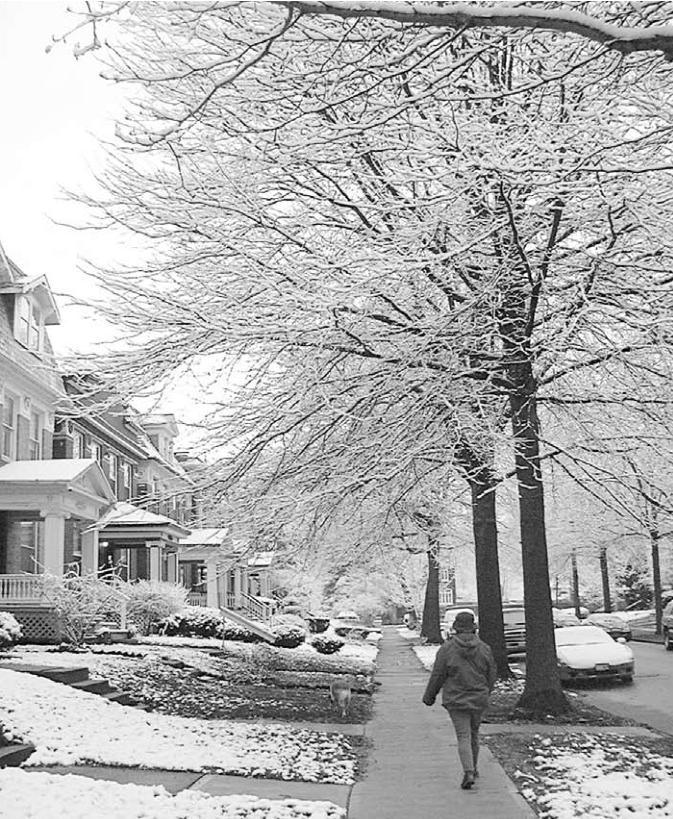 The last snow of winter, morning of February23.