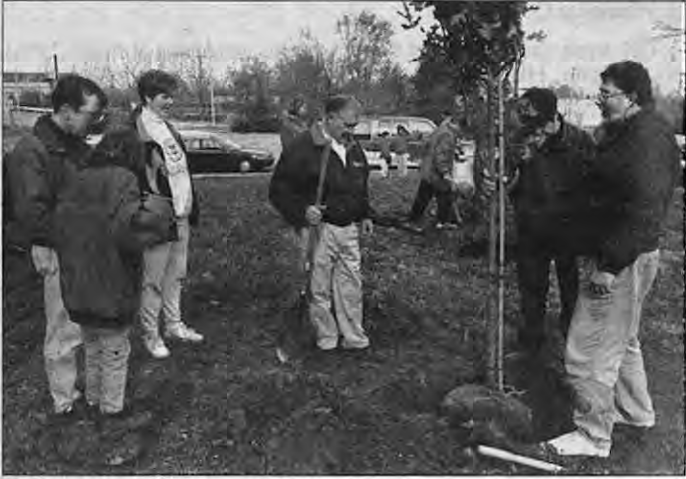 Tree planting on DesPeres. Individual ordering not identified in printed caption;photographer not credited.