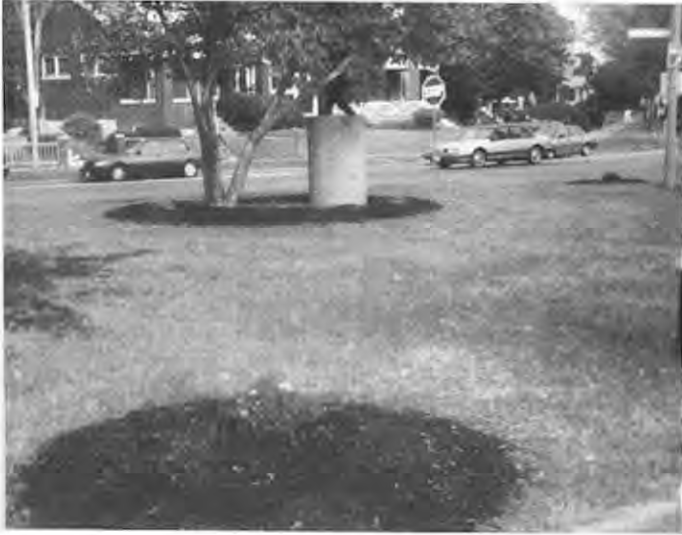 Pocket park at Waterman,DeGiverville and Laurel,featuring the sculpture Flight,protectively shielded by a tree. Photographer not credited.