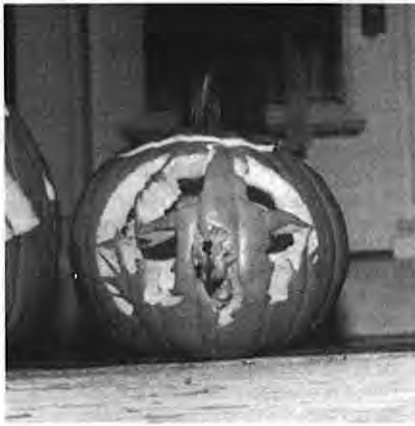 Dick and Belynda Hereford’s third-prize pumpkin. Photographer not credited.