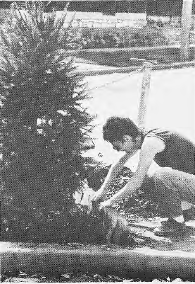 Catherine Forslund working on a planter beside a barricade.