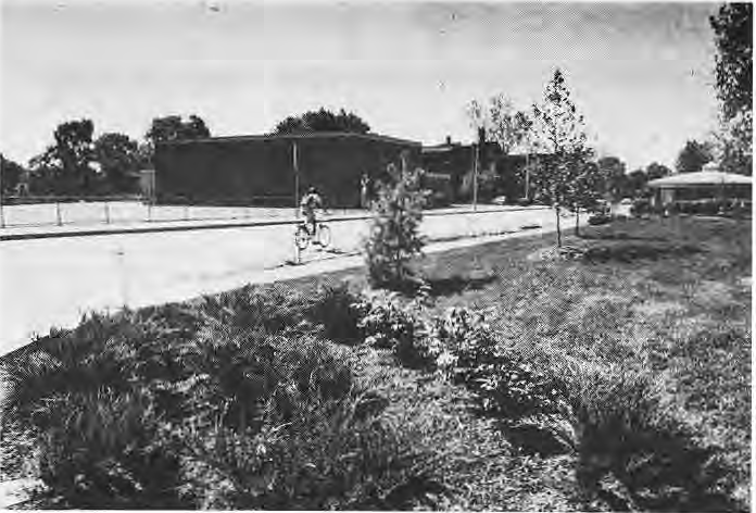 New city landscaping at Des Peres and Westminster.