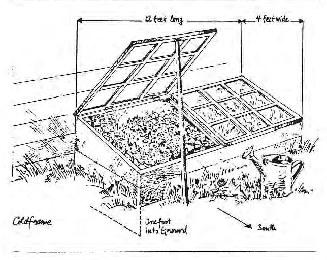 Original diagram of a garden cold frame, with dimensions and planting trays.