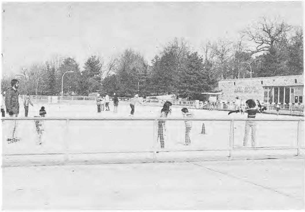 Skaters on the ice at Steinberg rink in Forest Park.