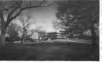 View from Kennedy Forest into area to be taken by Art museum parking lot(s). Photo by King Schoenfeld.