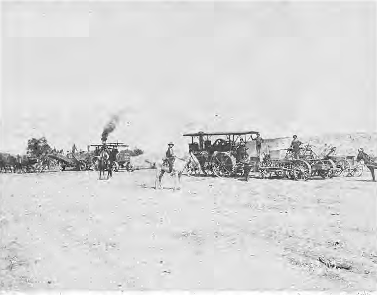 Original photograph of workers, horses and grading machinery.