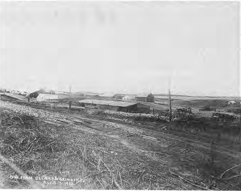 Original historical photograph of Parkview development with Brookings Hall visible.