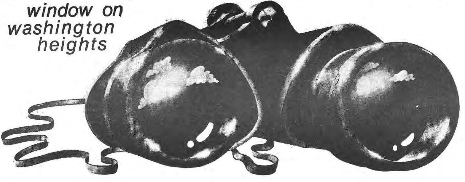 Original large binoculars illustration.