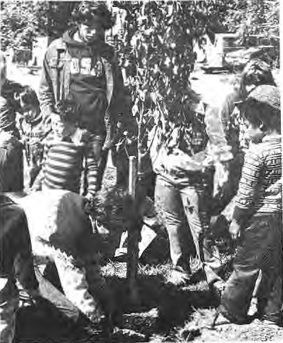 Original tree-planting memorial photograph.