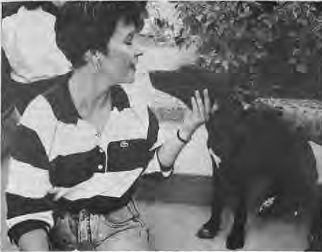 Bree, owned by Leon Brown, goes nose to nose with Nancy Farmer.