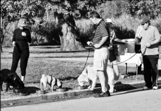Participants in Kingsbury Animal Hospital Fun Run. Descriptive caption supplied.