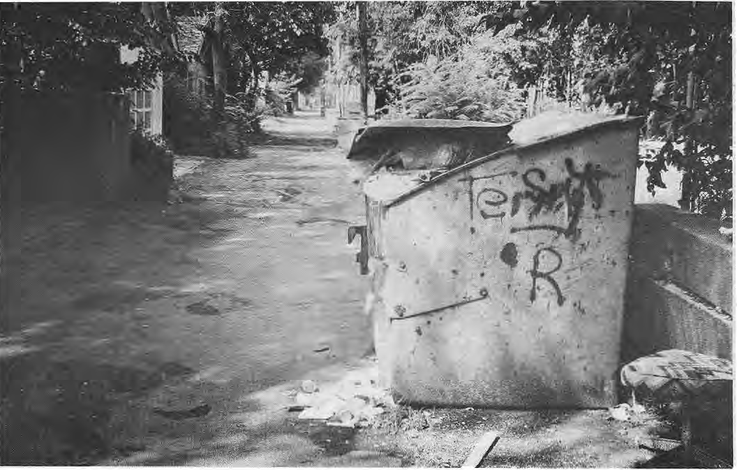 Dumpster in a neighborhood alley.