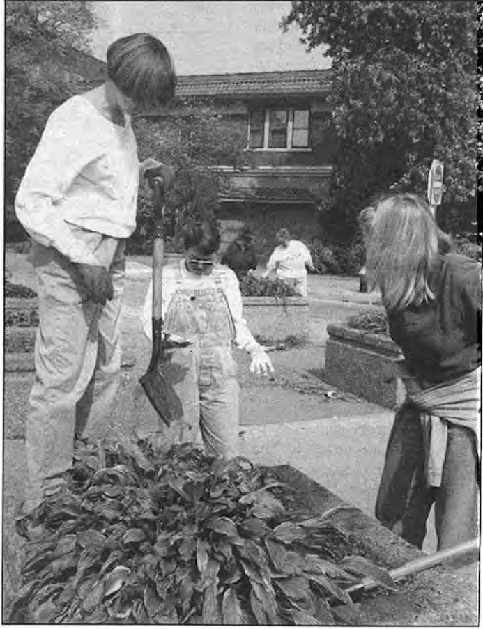 (From left)Michelle Pike,Julie Einspanier,and Beth Tipton work at thinning overgrown plants,while Julie Schoemehl and Lu Green(rear)evaluate another planter before plunging in. Photographer not credited.