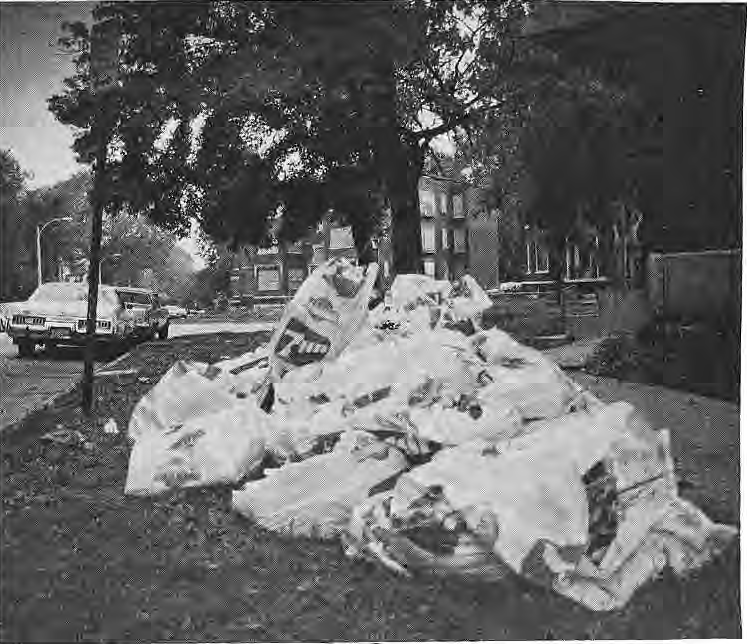Bagged cleanup material at the Operation Brightside site in Nina Place.