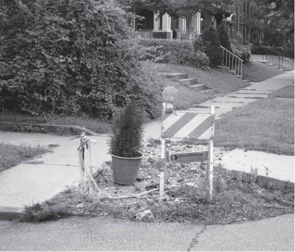Landscaping at Kingsbury and Rosedale curb cut. Descriptive caption supplied.