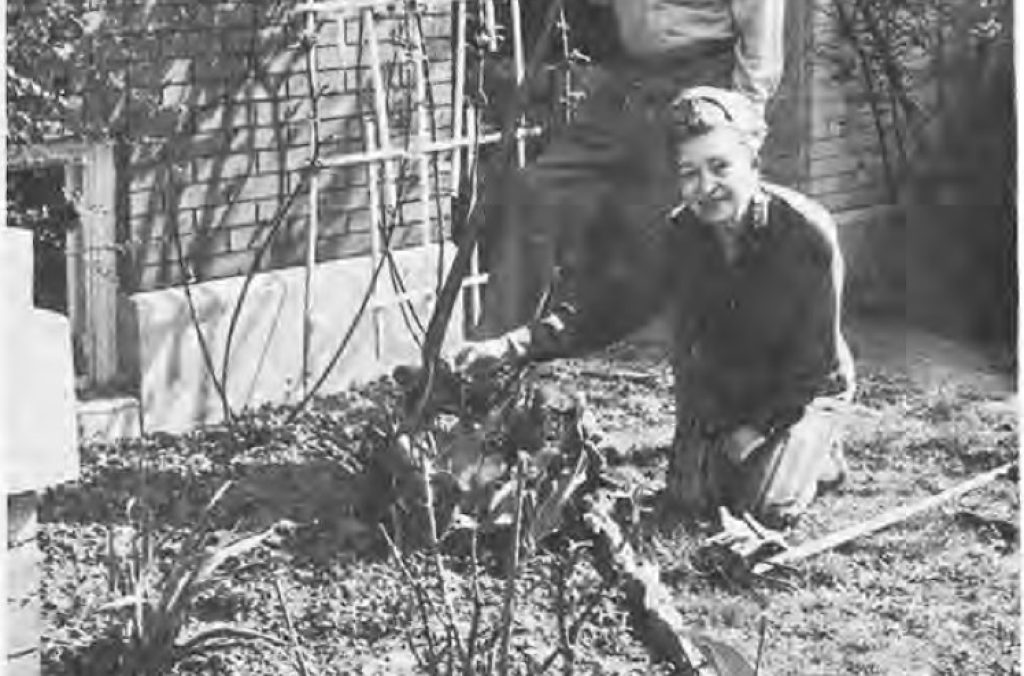 THE GARDNERS OF THE MONTH — original newspaper photograph, May 1970