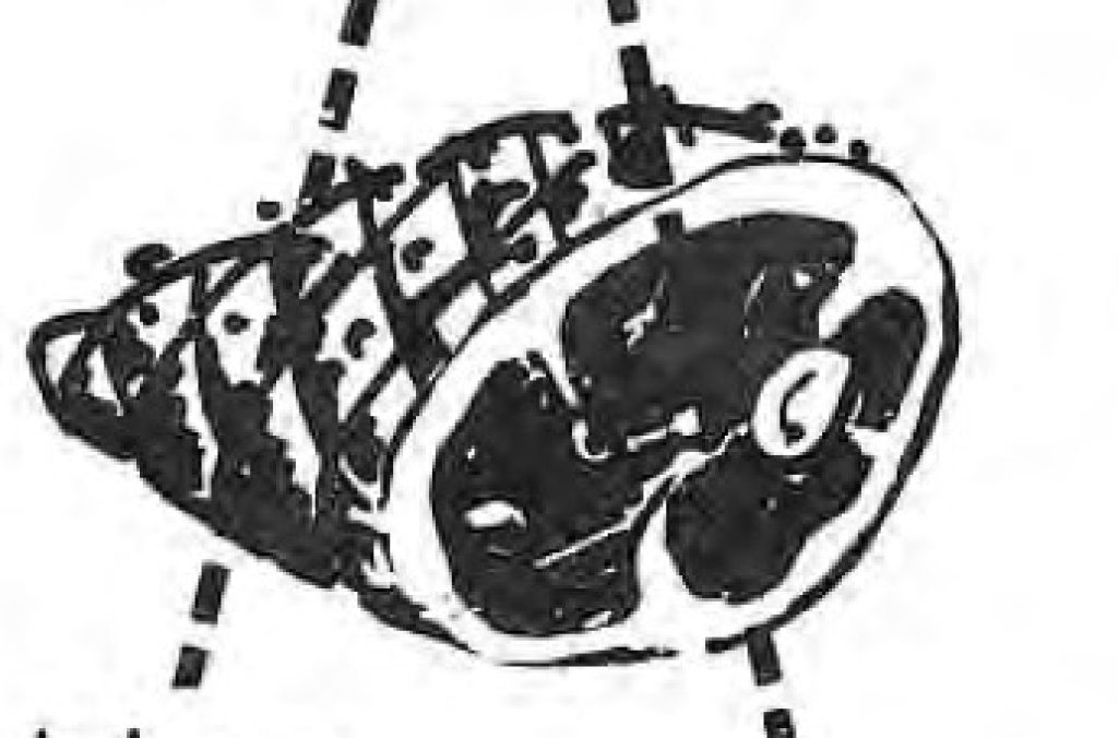 Ham-cutting diagram accompanying What’s In The Pot.